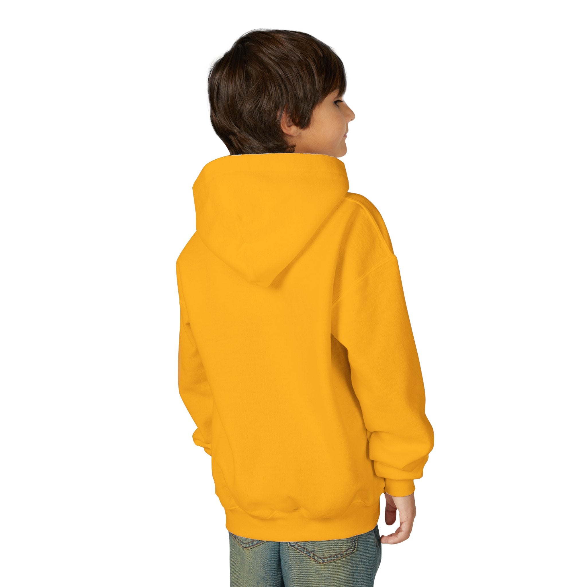 Youth Hooded Sweatshirt